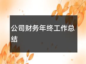 公司財務(wù)年終工作總結(jié)