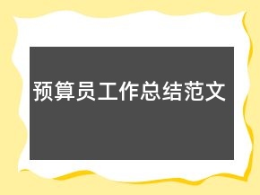 預(yù)算員工作總結(jié)范文