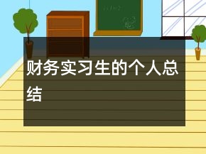 財務(wù)實習(xí)生的個人總結(jié)