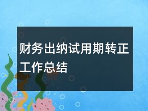 財(cái)務(wù)出納試用期轉(zhuǎn)正工作總結(jié)