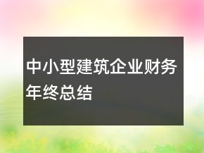 中小型建筑企業(yè)財(cái)務(wù)年終總結(jié)