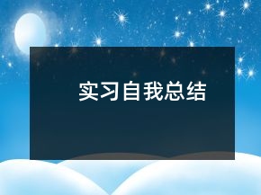 實(shí)習(xí)自我總結(jié)