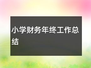 小學(xué)財(cái)務(wù)年終工作總結(jié)