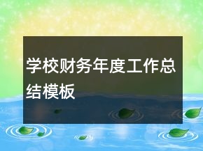 學校財務年度工作總結模板