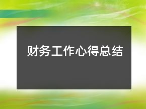 財務(wù)工作心得總結(jié)
