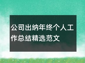 公司出納年終個(gè)人工作總結(jié)精選范文