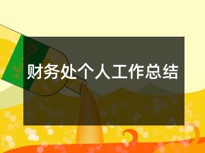 財(cái)務(wù)處個(gè)人工作總結(jié)