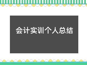 會計實訓個人總結