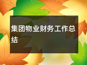 集團物業(yè)財務(wù)工作總結(jié)