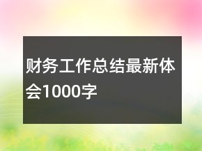財(cái)務(wù)工作總結(jié)最新體會1000字