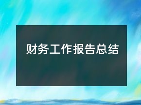 財(cái)務(wù)工作報(bào)告總結(jié)