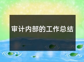 審計(jì)內(nèi)部的工作總結(jié)