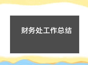 財(cái)務(wù)處工作總結(jié)