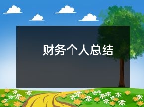 財務個人總結(jié)