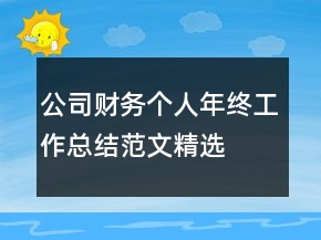 公司財務個人年終工作總結范文精選