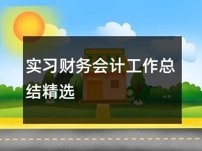 實(shí)習(xí)財(cái)務(wù)會(huì)計(jì)工作總結(jié)精選