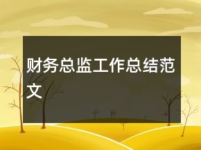 財(cái)務(wù)總監(jiān)工作總結(jié)范文