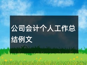 公司會(huì)計(jì)個(gè)人工作總結(jié)例文
