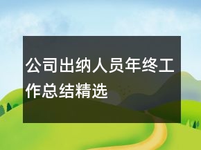 公司出納人員年終工作總結精選