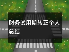 財務(wù)試用期轉(zhuǎn)正個人總結(jié)