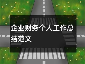 企業(yè)財(cái)務(wù)個(gè)人工作總結(jié)范文