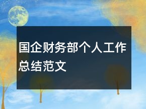 國企財務(wù)部個人工作總結(jié)范文