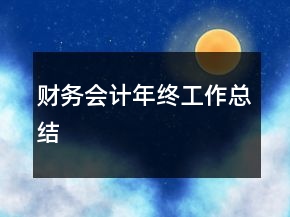 財(cái)務(wù)會(huì)計(jì)年終工作總結(jié)