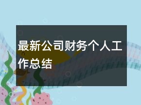 最新公司財(cái)務(wù)個(gè)人工作總結(jié)