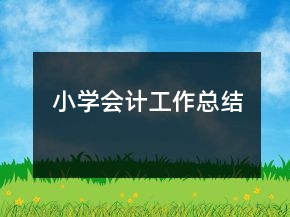 小學會計工作總結(jié)