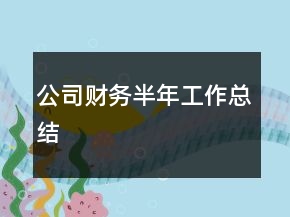 公司財(cái)務(wù)半年工作總結(jié)