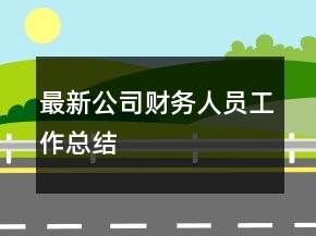 最新公司財務人員工作總結