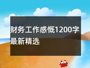 財務工作感慨1200字最新精選