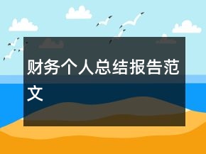 財務個人總結(jié)報告范文