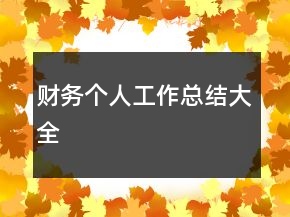 財務(wù)個人工作總結(jié)大全