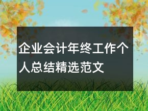 企業(yè)會計年終工作個人總結(jié)精選范文