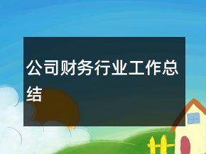 公司財務行業(yè)工作總結(jié)