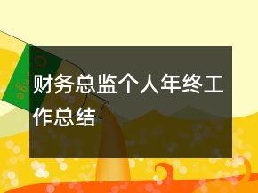 財務總監(jiān)個人年終工作總結(jié)