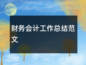 財務會計工作總結范文
