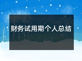 財務試用期個人總結