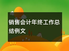 銷售會(huì)計(jì)年終工作總結(jié)例文