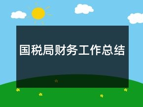 國(guó)稅局財(cái)務(wù)工作總結(jié)