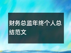 財(cái)務(wù)總監(jiān)年終個(gè)人總結(jié)范文