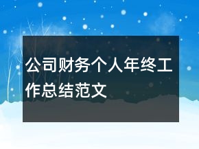 公司財務個人年終工作總結范文