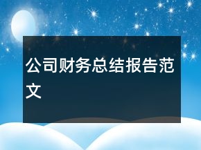 公司財務(wù)總結(jié)報告范文