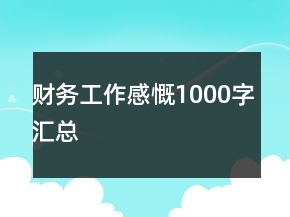 財(cái)務(wù)工作感慨1000字匯總