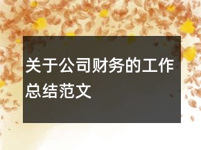 關(guān)于公司財務(wù)的工作總結(jié)范文