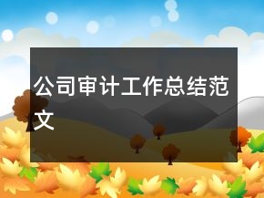 公司審計(jì)工作總結(jié)范文