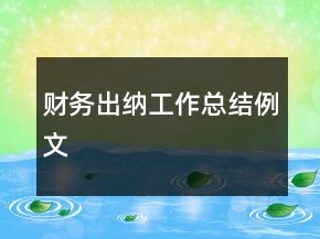 財(cái)務(wù)出納工作總結(jié)例文