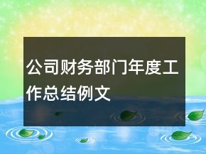 公司財(cái)務(wù)部門年度工作總結(jié)例文