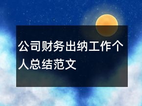 公司財(cái)務(wù)出納工作個(gè)人總結(jié)范文